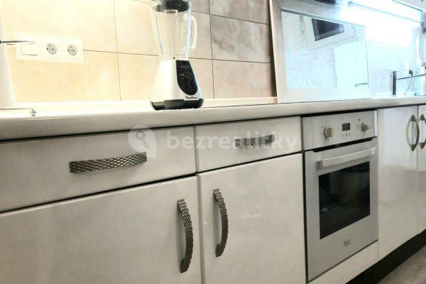 1 bedroom with open-plan kitchen flat to rent, 40 m², Vlkova, Praha