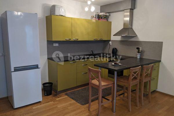 1 bedroom with open-plan kitchen flat to rent, 58 m², Klatovská, Brno