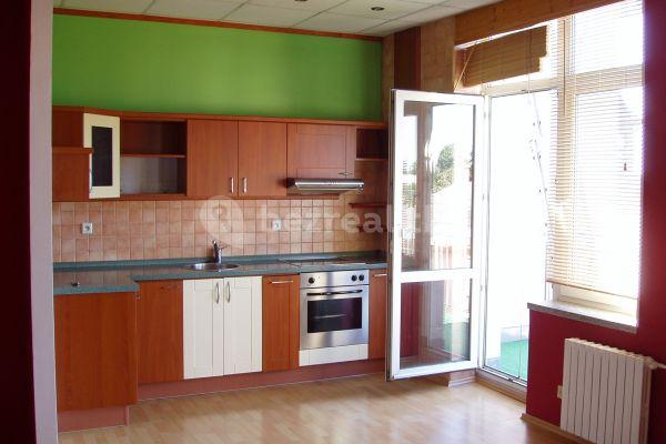 1 bedroom with open-plan kitchen flat to rent, 64 m², Zámostní, Ostrava