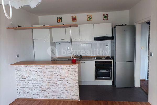 1 bedroom with open-plan kitchen flat to rent, 42 m², Štúrova, Hlavní město Praha