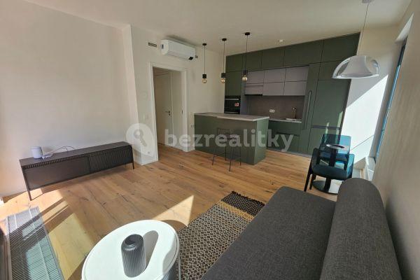 1 bedroom with open-plan kitchen flat to rent, 53 m², Lerausova, Hlavní město Praha