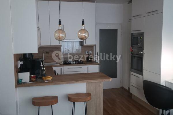 1 bedroom with open-plan kitchen flat to rent, 48 m², Patočkova, Hlavní město Praha