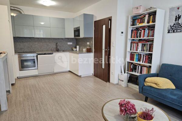 1 bedroom with open-plan kitchen flat to rent, 49 m², Hlinecká, Brno