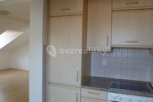 1 bedroom with open-plan kitchen flat to rent, 65 m², Rumunská, Hlavní město Praha