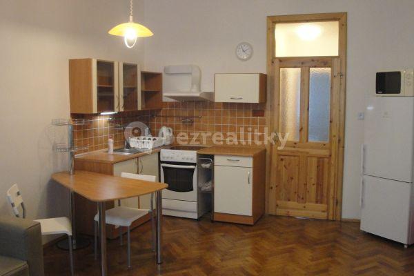 1 bedroom with open-plan kitchen flat to rent, 44 m², Letohradská, Hlavní město Praha