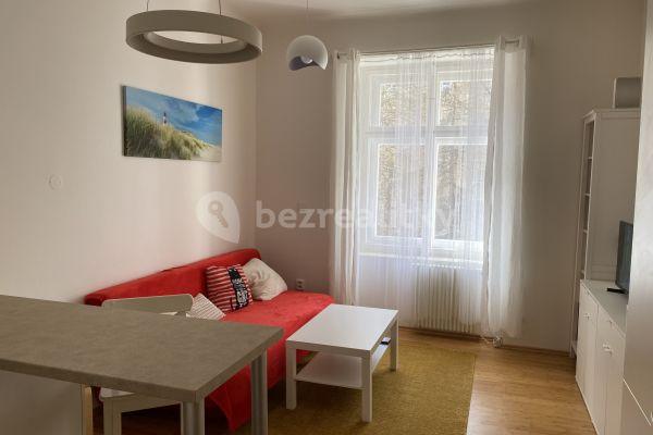 1 bedroom with open-plan kitchen flat to rent, 46 m², Rejskova, Praha