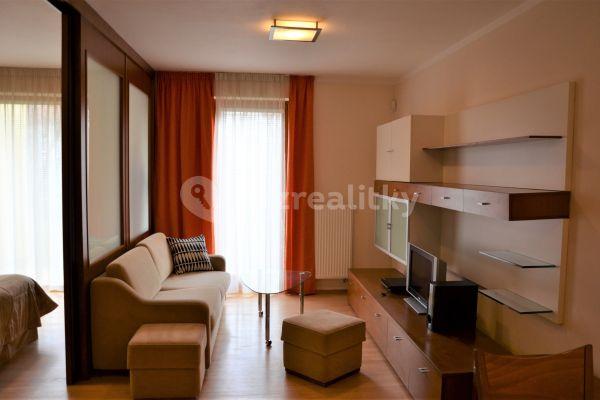 1 bedroom with open-plan kitchen flat to rent, 58 m², Pod Karlovem, 