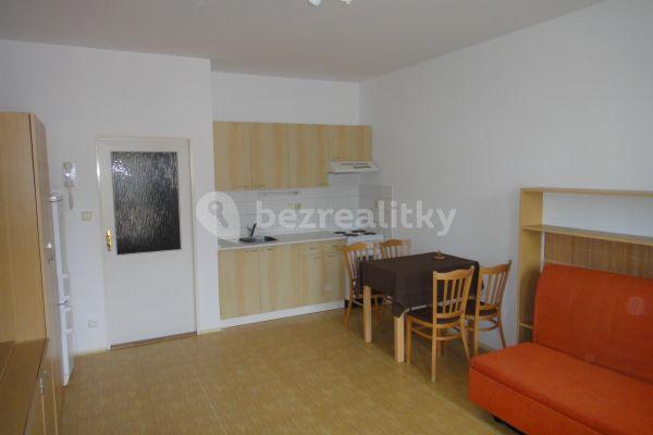 Studio flat to rent, 30 m², Školská, Hostivice