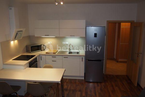 1 bedroom with open-plan kitchen flat to rent, 54 m², Říčanská, Brno