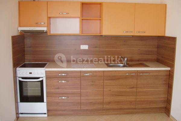 1 bedroom with open-plan kitchen flat to rent, 64 m², Pospíchalova, Praha