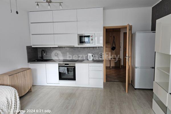 1 bedroom with open-plan kitchen flat to rent, 48 m², Martinická, Hlavní město Praha