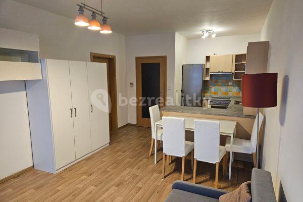 1 bedroom with open-plan kitchen flat to rent, 45 m², Berlínská, Praha