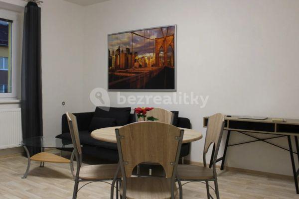 1 bedroom with open-plan kitchen flat to rent, 43 m², Renneská třída, Brno