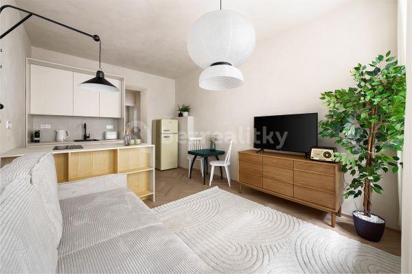 1 bedroom with open-plan kitchen flat to rent, 35 m², Sevastopolská, Praha