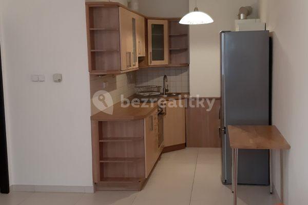 1 bedroom with open-plan kitchen flat to rent, 43 m², Hadovitá, 