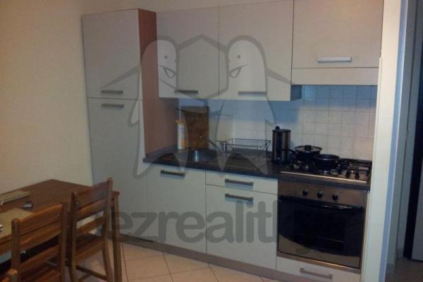 2 bedroom with open-plan kitchen flat to rent, 45 m², Tyršova, 